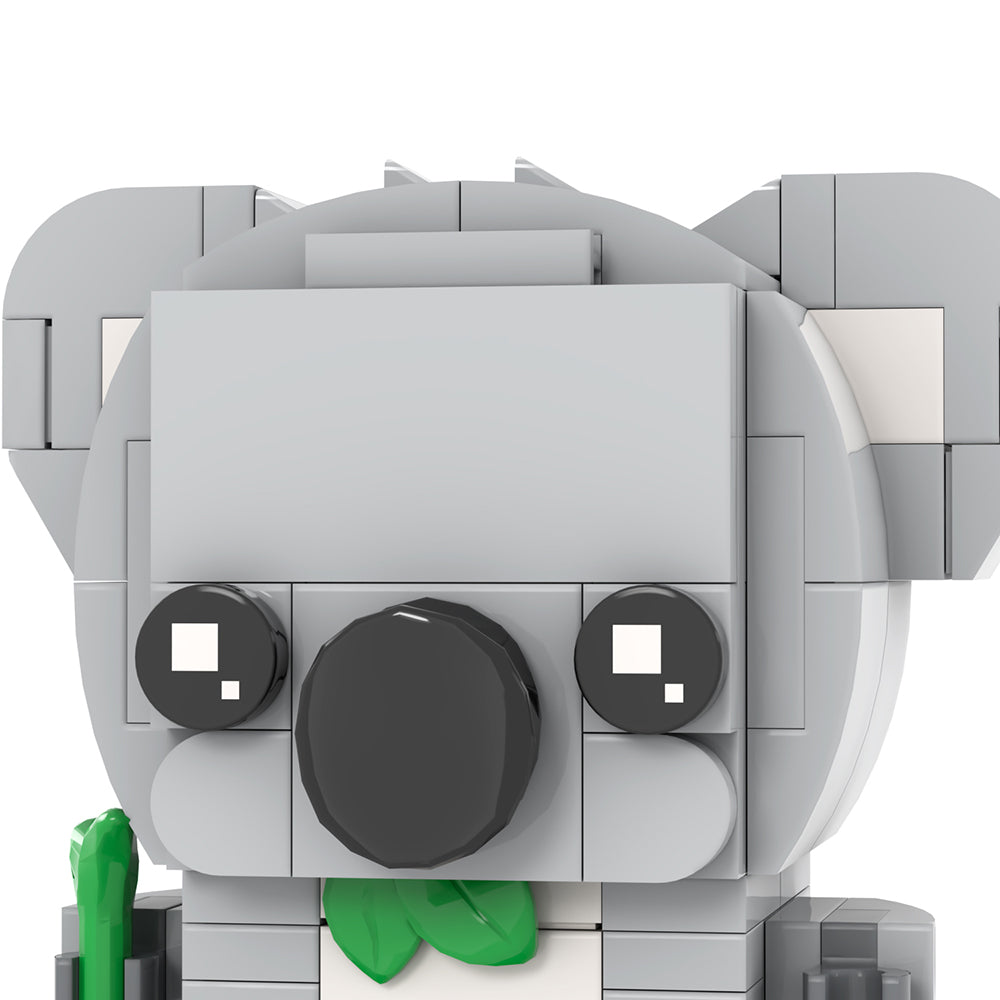 Kiki the Koala