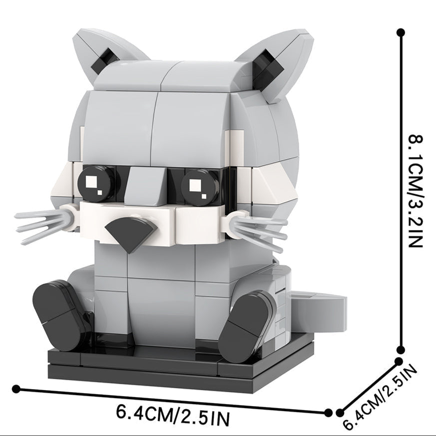 Curious Raccoon