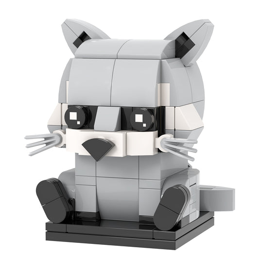 Curious Raccoon
