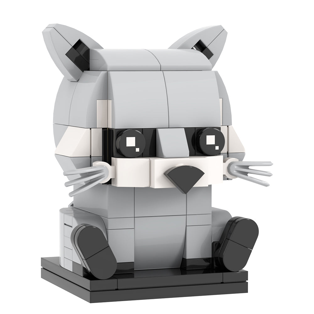 Curious Raccoon